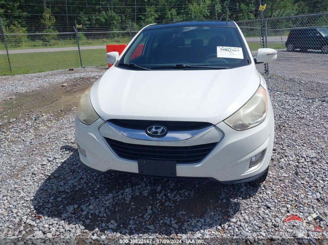 KM8JUCAC6AU068442 2010 HYUNDAI TUCSON photo no. 6