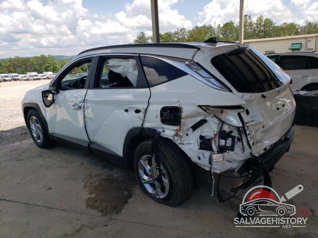 5NMJB3DE6RH396325 2024 HYUNDAI TUCSON photo no. 2