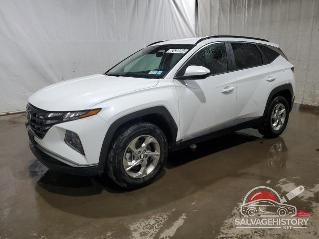 KM8JBCDE6RU307907 2024 HYUNDAI TUCSON photo no. 11