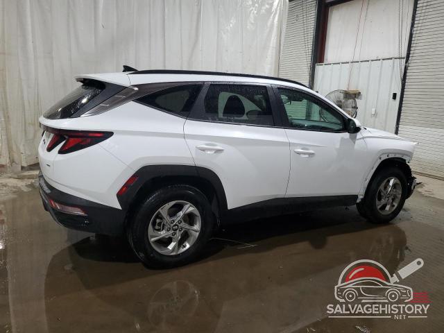 KM8JBCDE6RU307907 2024 HYUNDAI TUCSON photo no. 3