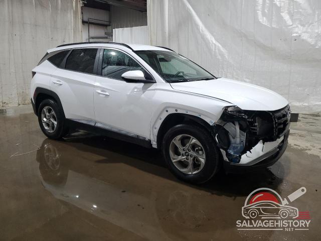 KM8JBCDE6RU307907 2024 HYUNDAI TUCSON photo no. 4