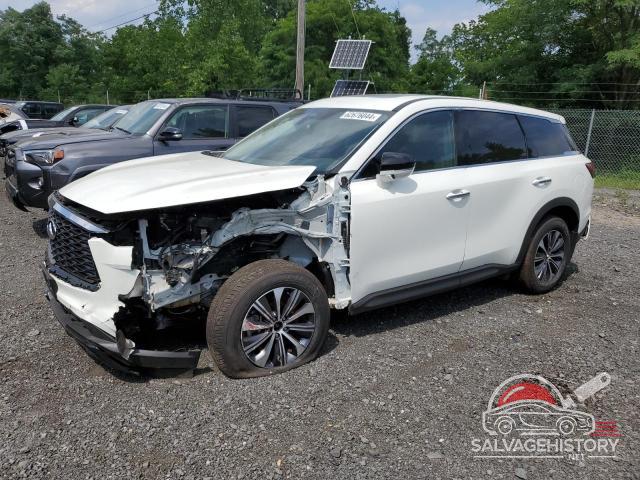 5N1DL1ESXNC334496 2022 INFINITI QX60 PURE photo no. 1