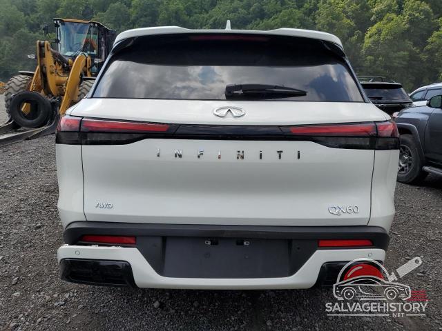 5N1DL1ESXNC334496 2022 INFINITI QX60 PURE photo no. 6