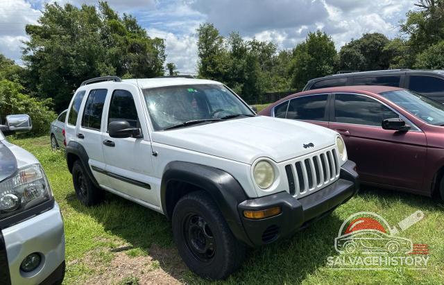 1J4GK48K02W310715 2002 JEEP LIBERTY photo no. 10