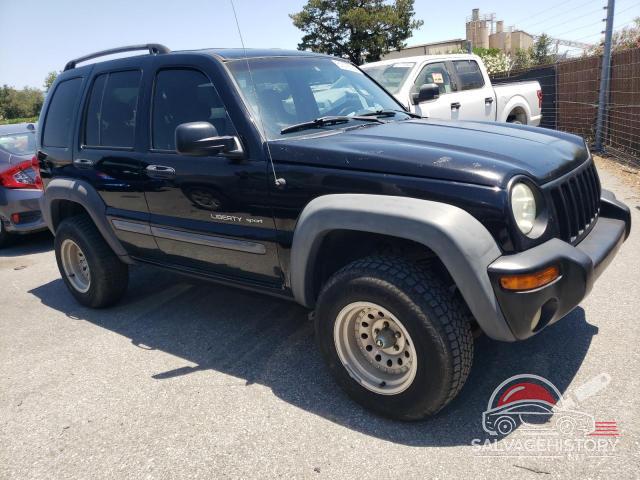 1J4GK48K12W123564 2002 JEEP LIBERTY photo no. 4