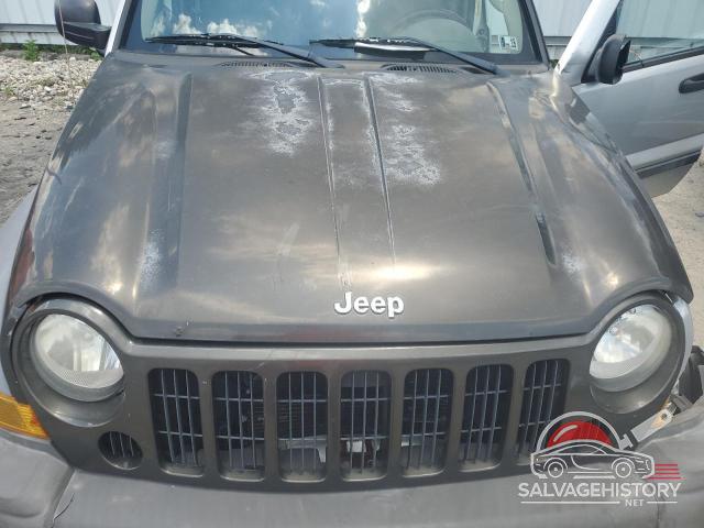 1J4GL48K66W272491 2006 JEEP LIBERTY photo no. 12
