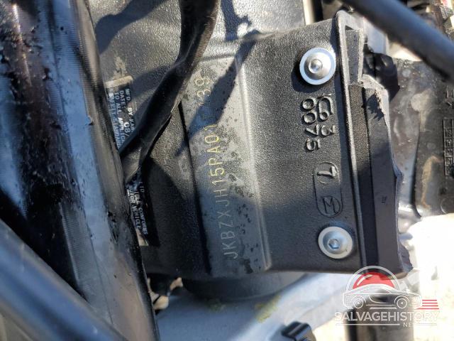 JKBZXJH15PA017439 2023 KAWASAKI ZX636 K photo no. 10