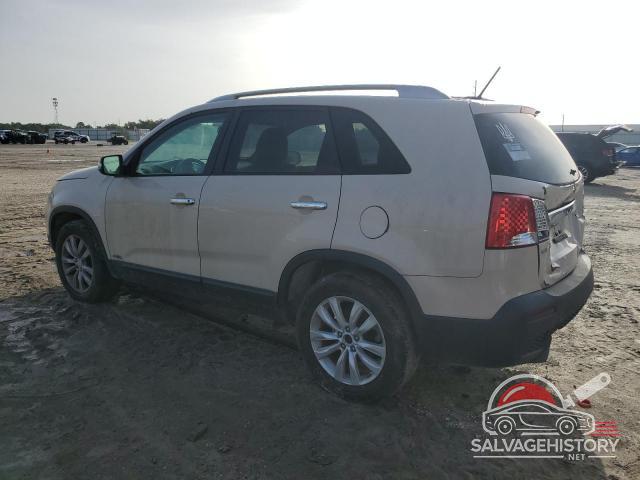 5XYKTDA24BG105757 2011 KIA SORENTO photo no. 2