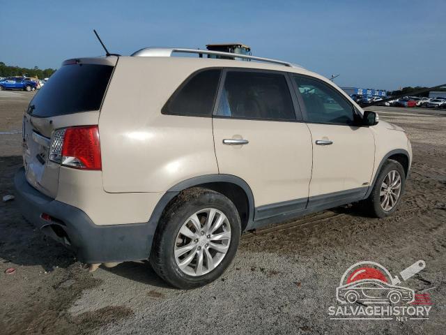 5XYKTDA24BG105757 2011 KIA SORENTO photo no. 3