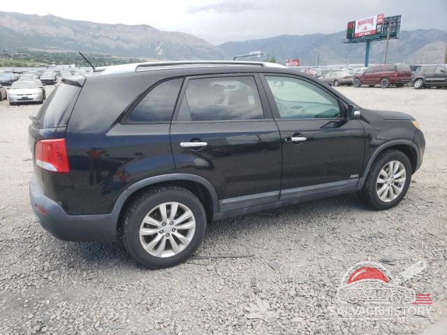 5XYKTDA25BG045228 2011 KIA SORENTO photo no. 3