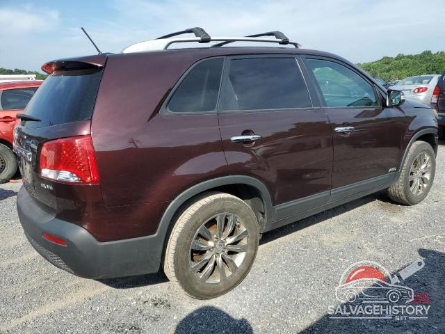 5XYKUDA21BG055025 2011 KIA SORENTO photo no. 3