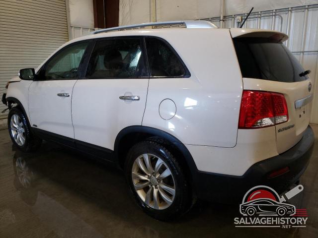 5XYKUDA24BG041684 2011 KIA SORENTO photo no. 2