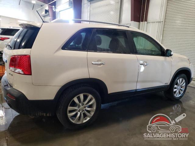 5XYKUDA24BG041684 2011 KIA SORENTO photo no. 3