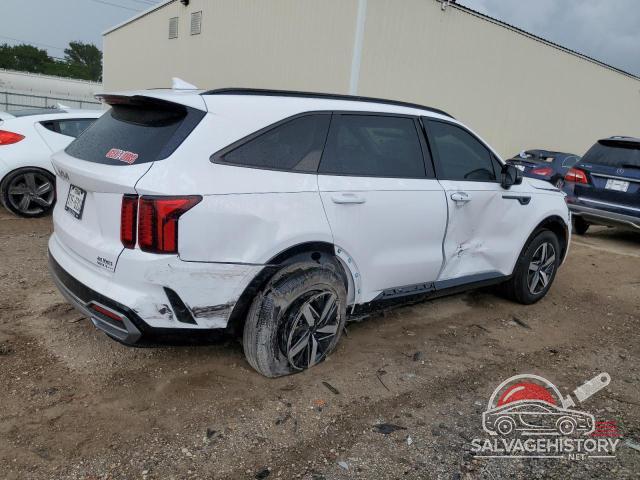 5XYRL4LCXPG198621 2023 KIA SORENTO photo no. 3