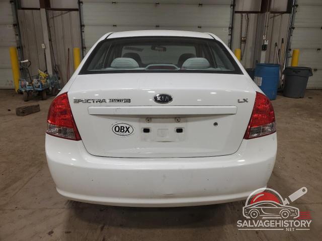 KNAFE122185565336 2008 KIA SPECTRA photo no. 6