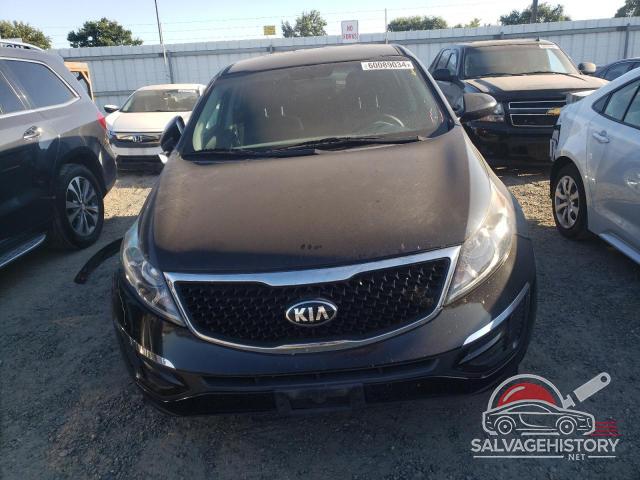 KNDPB3AC4G7873349 2016 KIA SPORTAGE photo no. 5