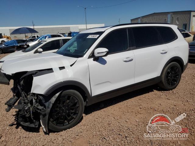 5XYP5DHC8MG149732 2021 KIA TELLURIDE photo no. 11