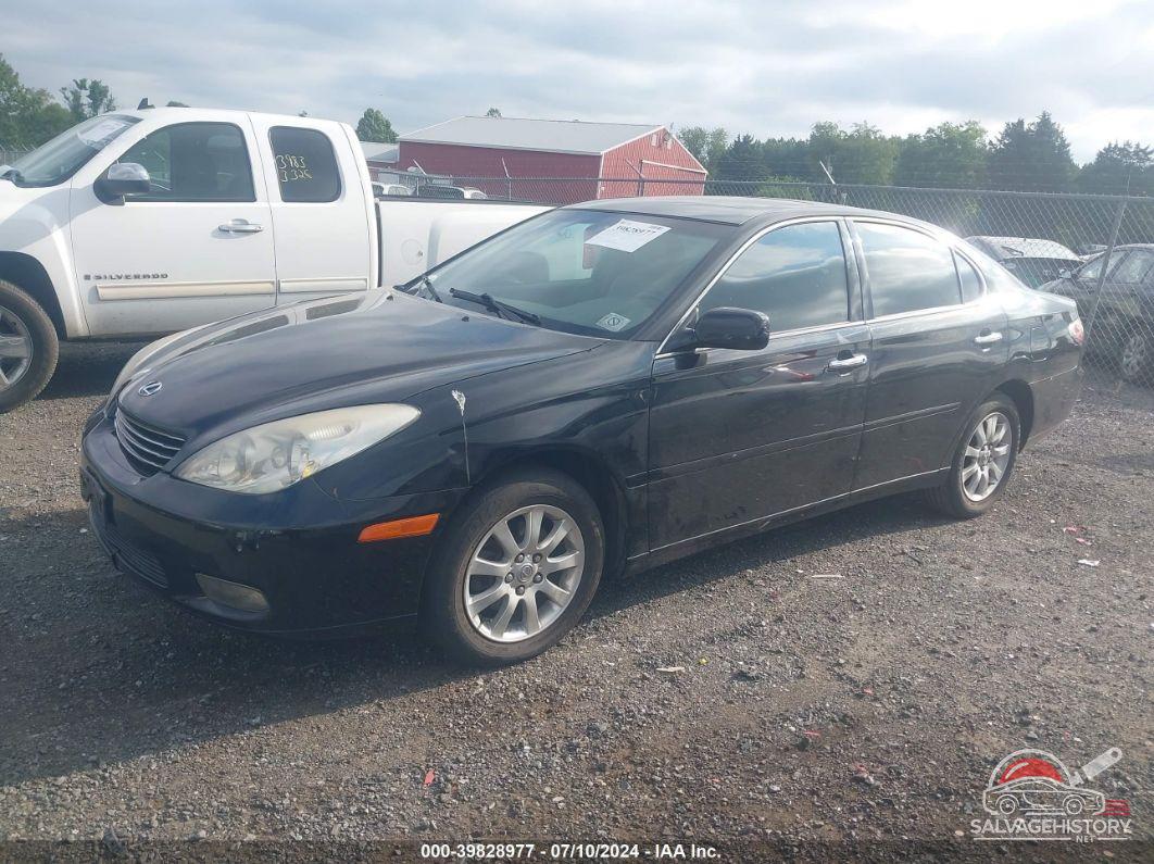 JTHBF30G736003113 2003 LEXUS ES photo no. 2