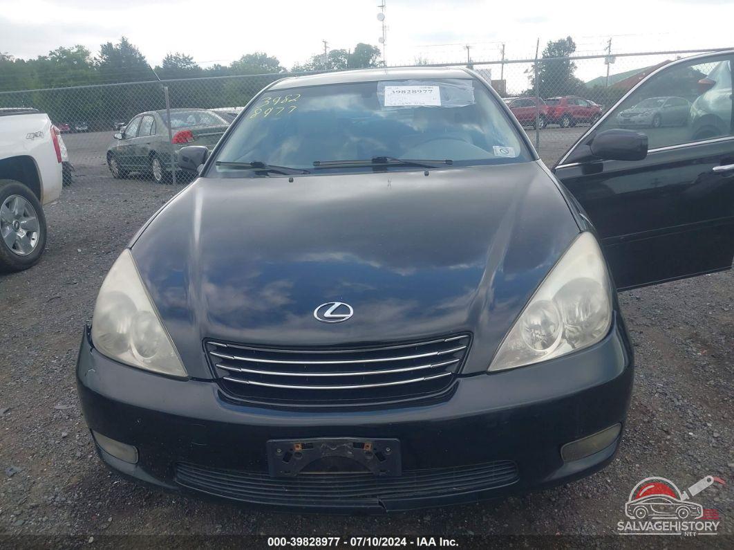 JTHBF30G736003113 2003 LEXUS ES photo no. 6