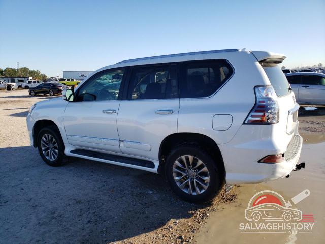 JTJJM7FX9F5105229 2015 LEXUS GX photo no. 2