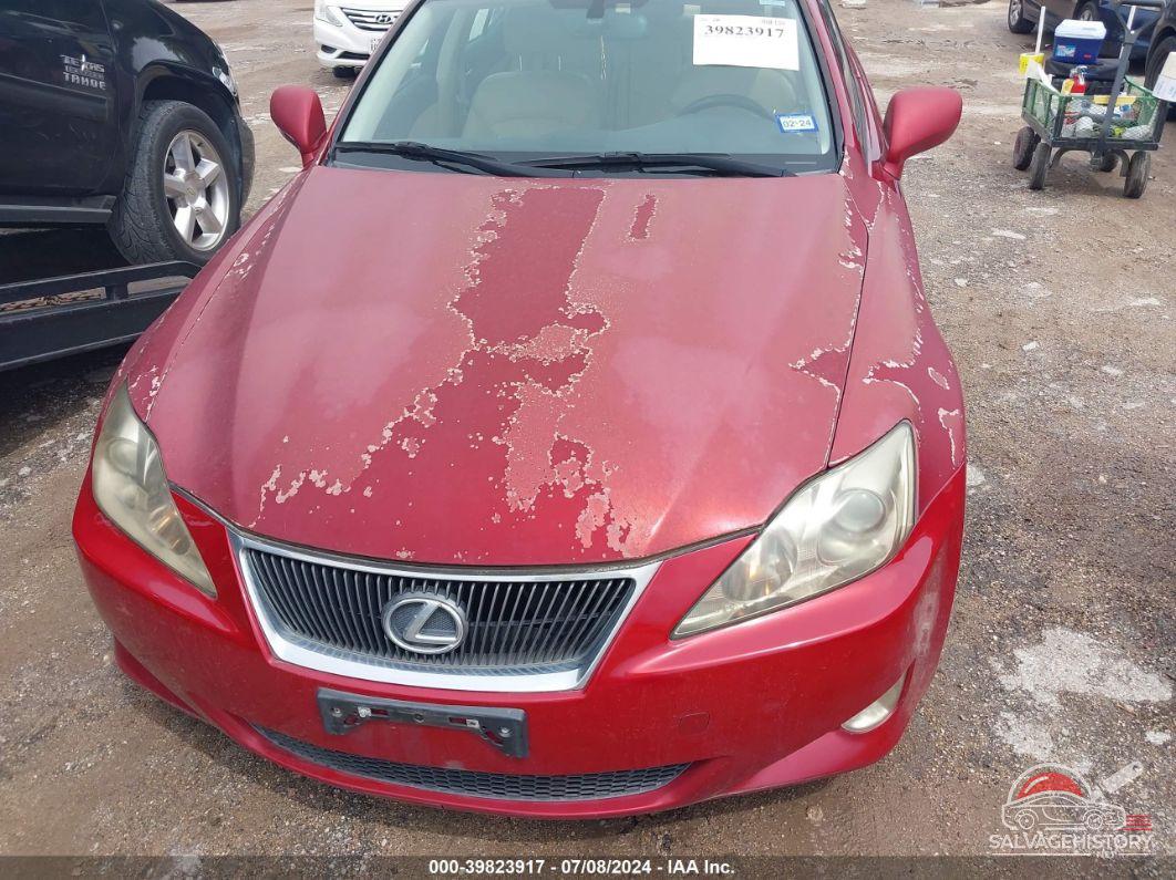 JTHBK262465000388 2006 LEXUS IS 250 photo no. 6