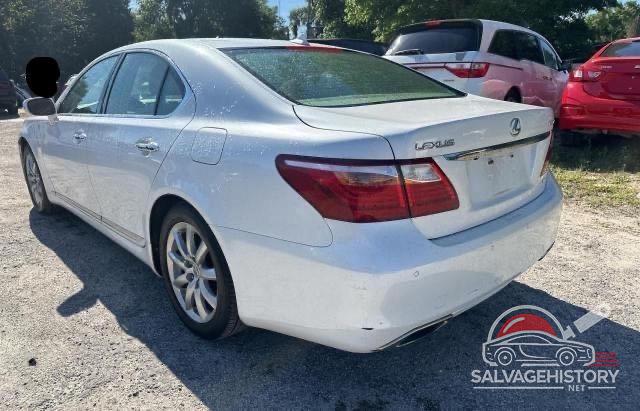 JTHCL5EF5A5007141 2010 LEXUS LS460 photo no. 3