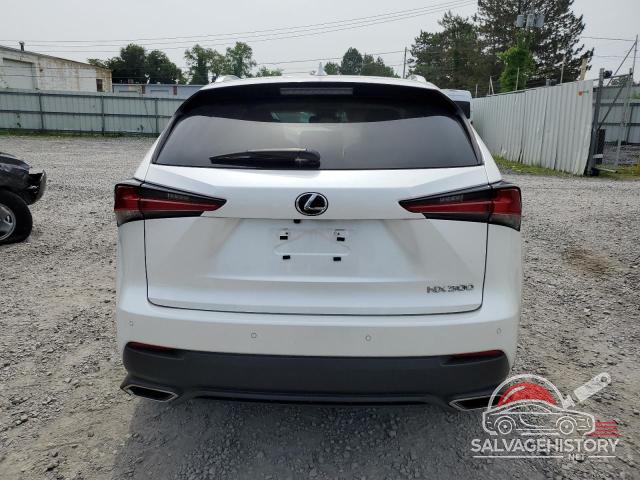 JTJBARBZ2J2157599 2018 LEXUS NX photo no. 6