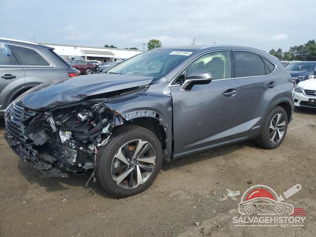 JTJGJRDZ4M2160480 2021 LEXUS NX photo no. 10