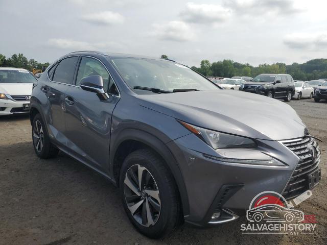 JTJGJRDZ4M2160480 2021 LEXUS NX photo no. 4