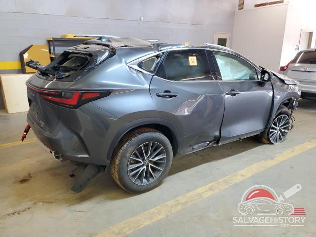 2T2ADCEZ2NC002147 2022 LEXUS NX 250 photo no. 3