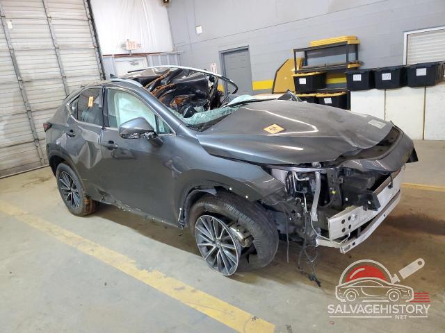 2T2ADCEZ2NC002147 2022 LEXUS NX 250 photo no. 4