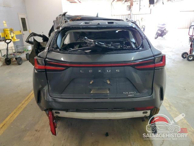 2T2ADCEZ2NC002147 2022 LEXUS NX 250 photo no. 6