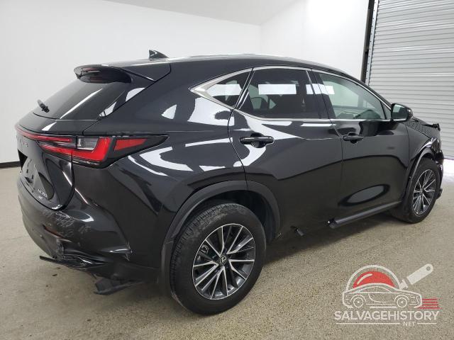 2T2AKCEZ2NC007029 2022 LEXUS NX 350H photo no. 3