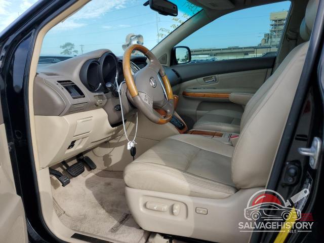 2T2GK31U37C025742 2007 LEXUS RX350 photo no. 7