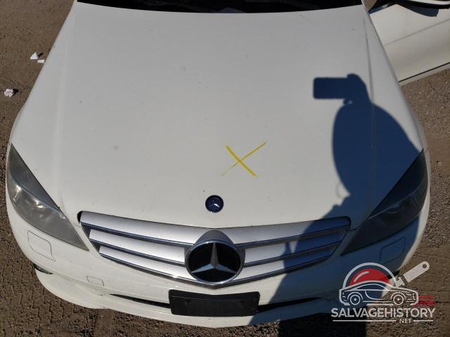 WDDGF8BB5AF460995 2010 MERCEDES-BENZ C-CLASS photo no. 11