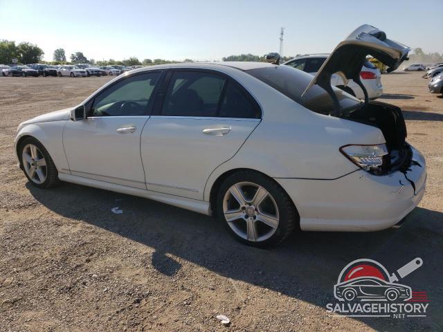 WDDGF8BB5AF460995 2010 MERCEDES-BENZ C-CLASS photo no. 2