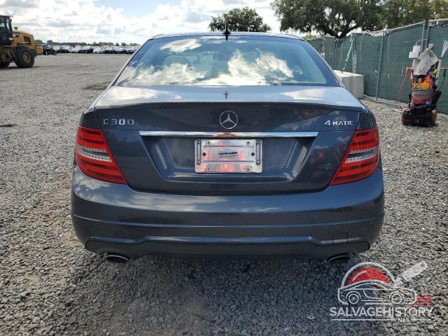 WDDGF8AB2DR258698 2013 MERCEDES-BENZ C-CLASS photo no. 6