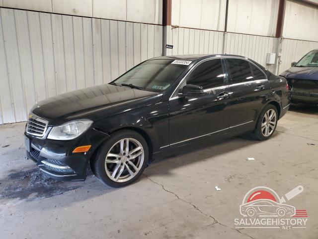 WDDGF8AB5DR254242 2013 MERCEDES-BENZ C-CLASS photo no. 8