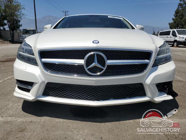 WDDLJ7DB0DA057965 2013 MERCEDES-BENZ CLS-CLASS photo no. 5