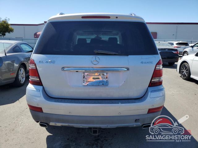 4JGBF71E59A515394 2009 MERCEDES-BENZ GL-CLASS photo no. 6