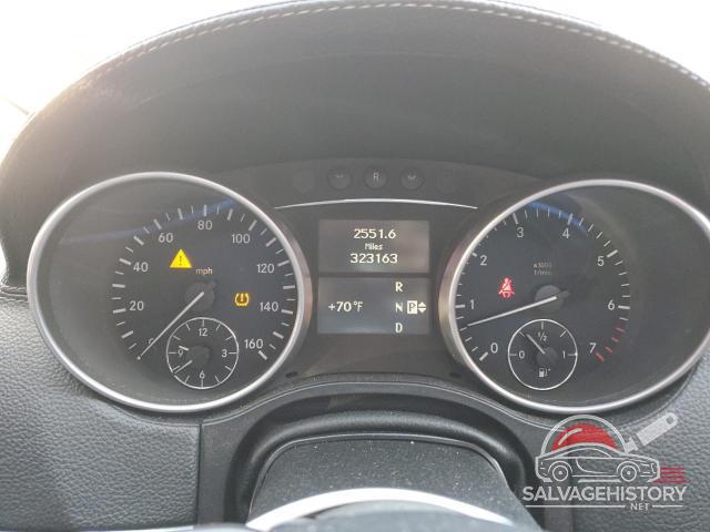 4JGBF71E69A491221 2009 MERCEDES-BENZ GL-CLASS photo no. 9