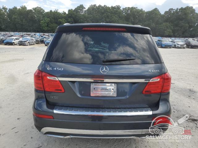 4JGDF7CE5EA334988 2014 MERCEDES-BENZ GL-CLASS photo no. 6