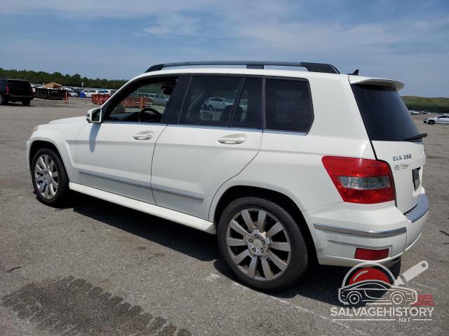 WDCGG8HB5AF437306 2010 MERCEDES-BENZ GLK-CLASS photo no. 2