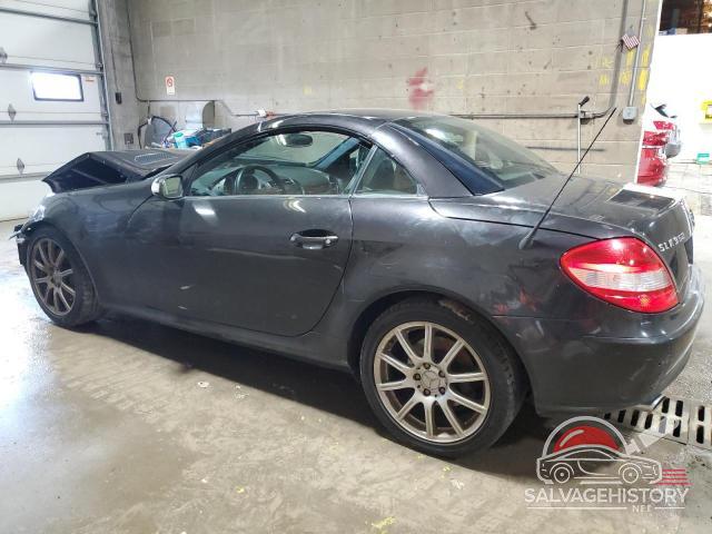 WDBWK56F06F119393 2006 MERCEDES-BENZ SLK-CLASS photo no. 2