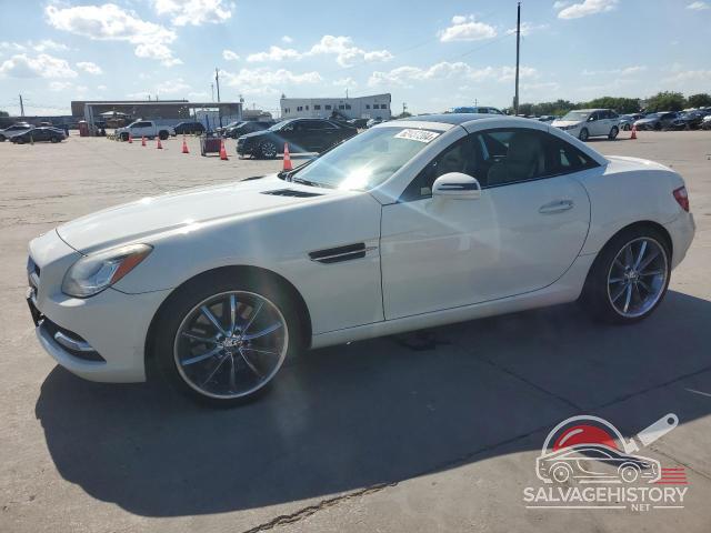 WDDPK5HAXDF074005 2013 MERCEDES-BENZ SLK-CLASS photo no. 2
