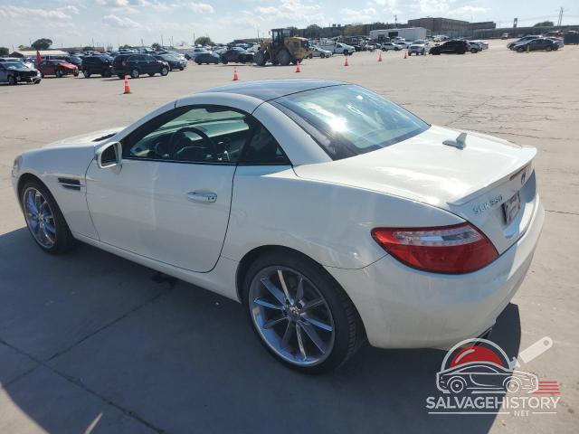 WDDPK5HAXDF074005 2013 MERCEDES-BENZ SLK-CLASS photo no. 2