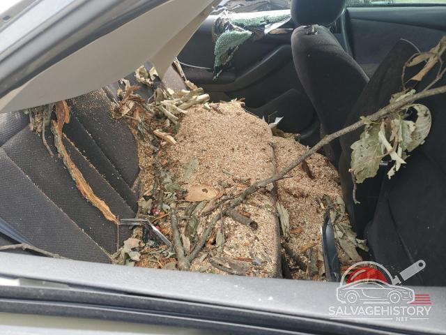 1N4AL21E08N557514 2008 NISSAN ALTIMA photo no. 10