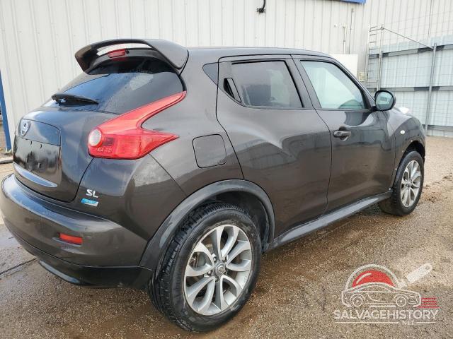 JN8AF5MR3DT209203 2013 NISSAN JUKE photo no. 3