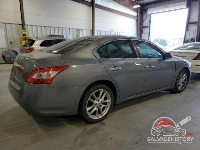 1N4AA51E39C826156 2009 NISSAN MAXIMA photo no. 3