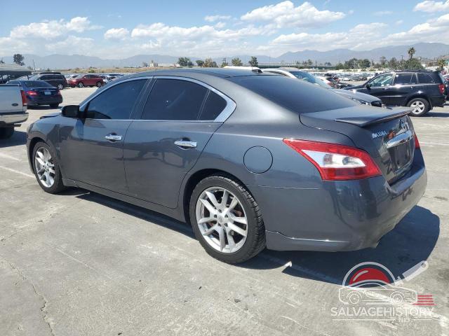 1N4AA5AP0AC844006 2010 NISSAN MAXIMA photo no. 2